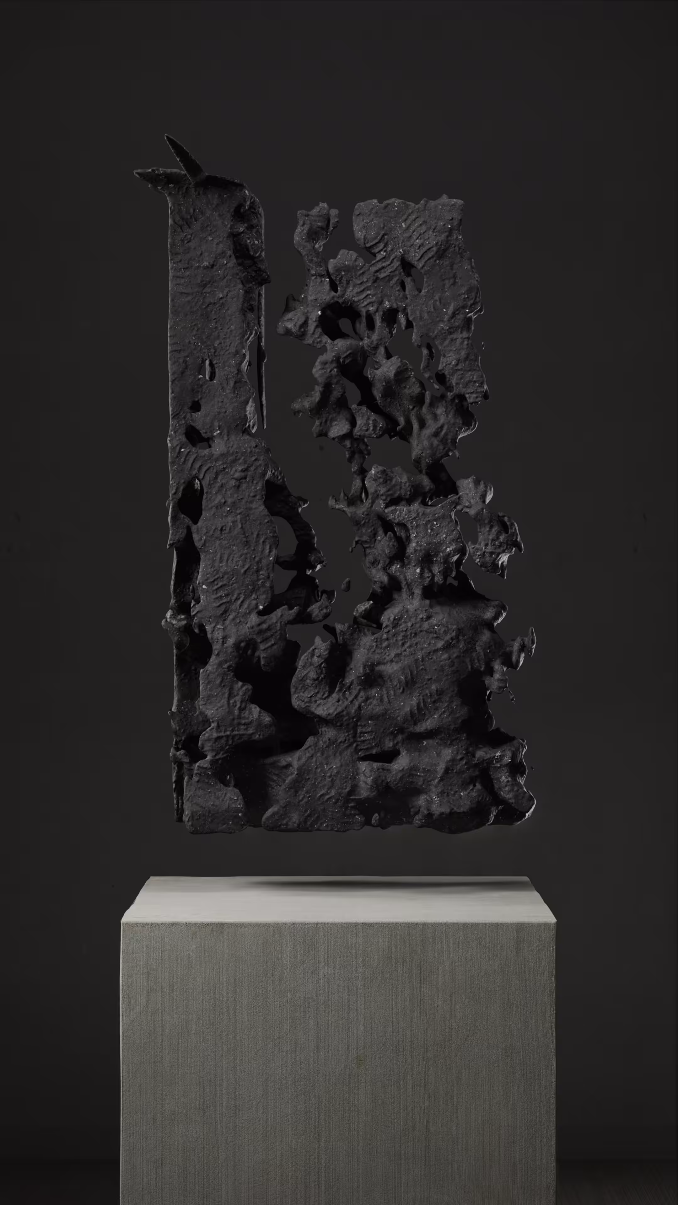 AN IMPORTANT MEMORY FOR HUMANITY: ULTRASOUND DATA SCULPTURES #27