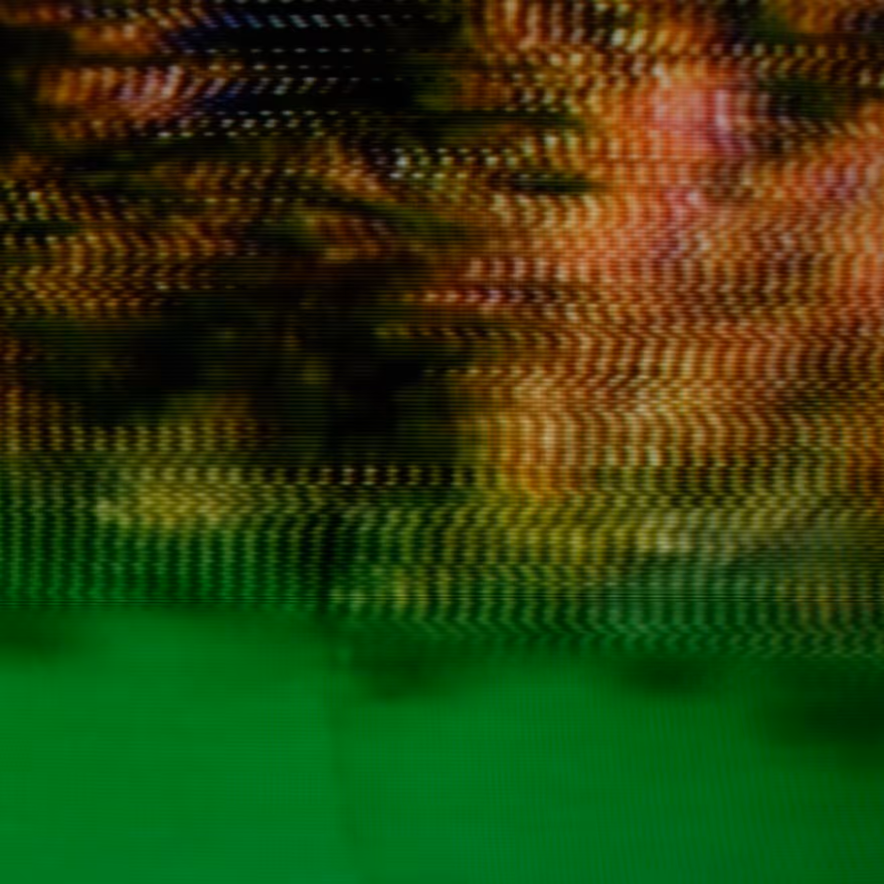 vhs dream 0148