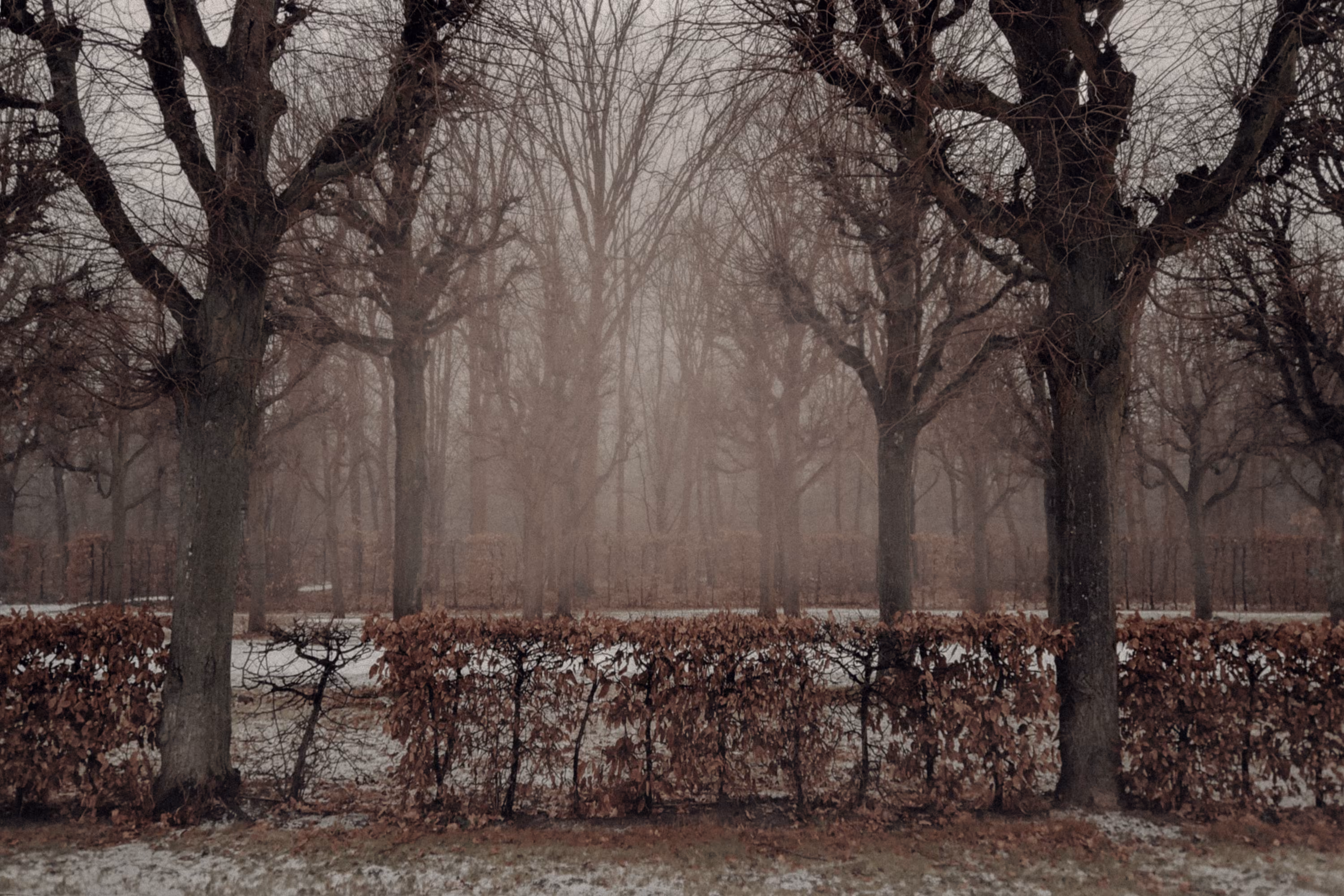 Branches