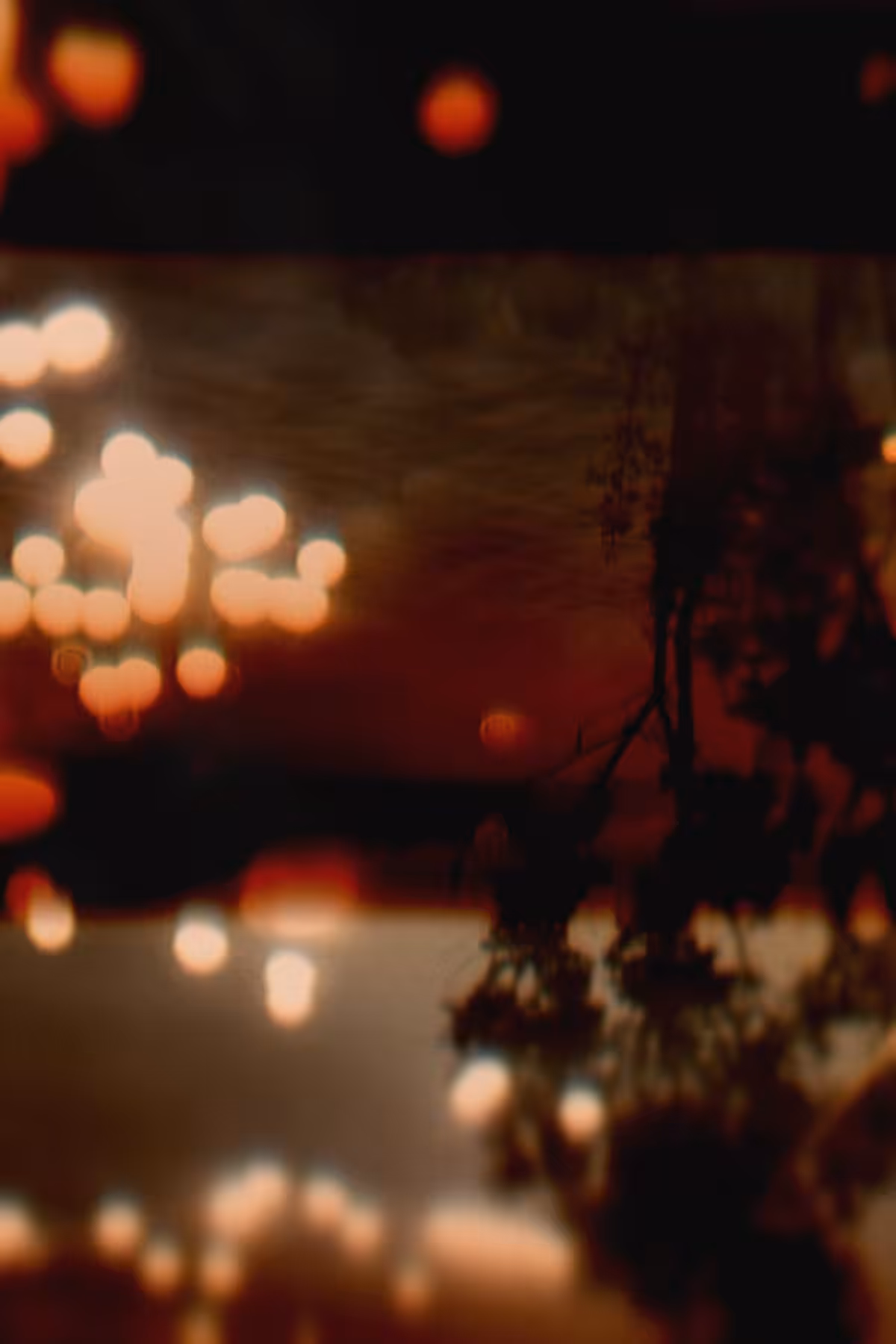 Diaries #42