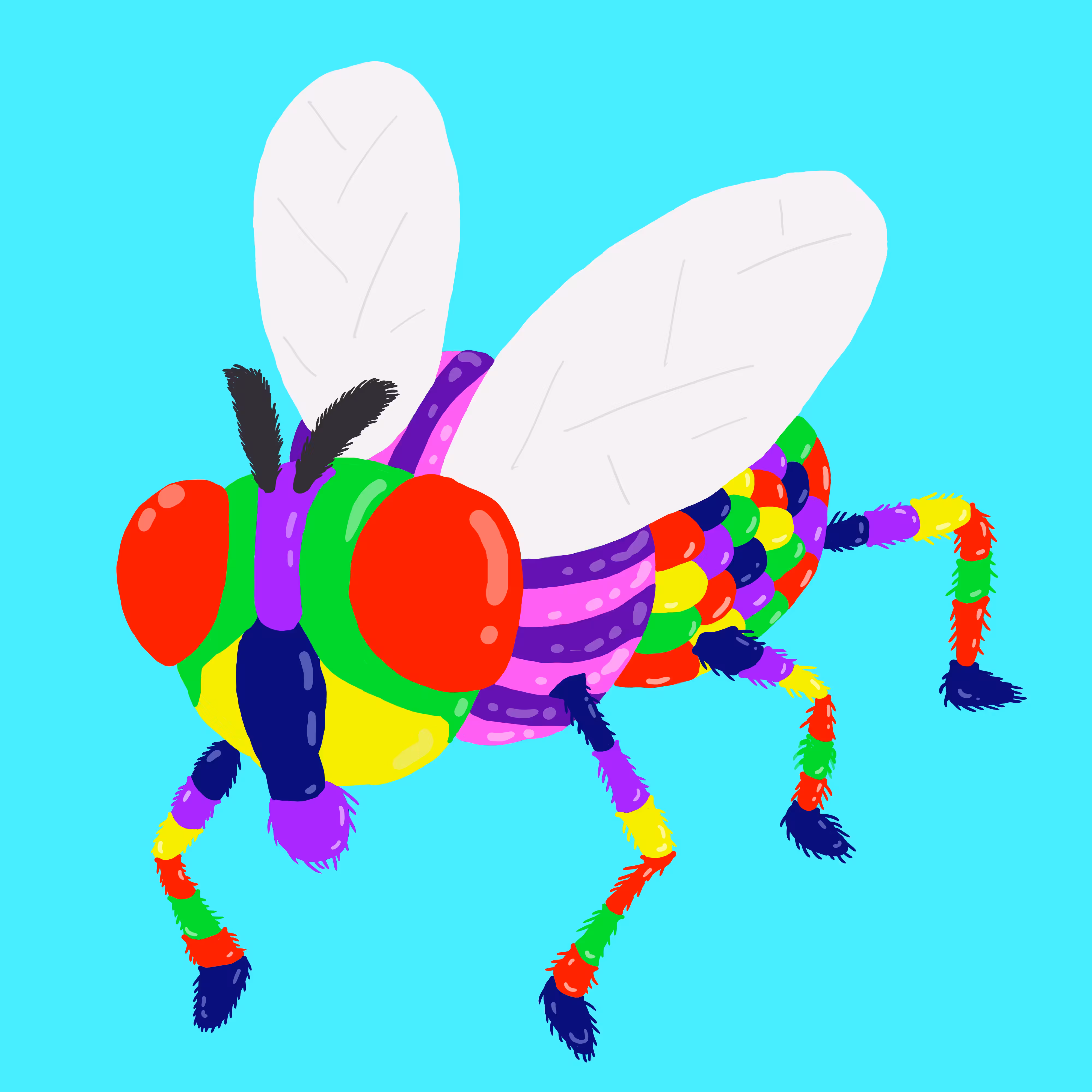 インスタ蠅 Instagrammable fly