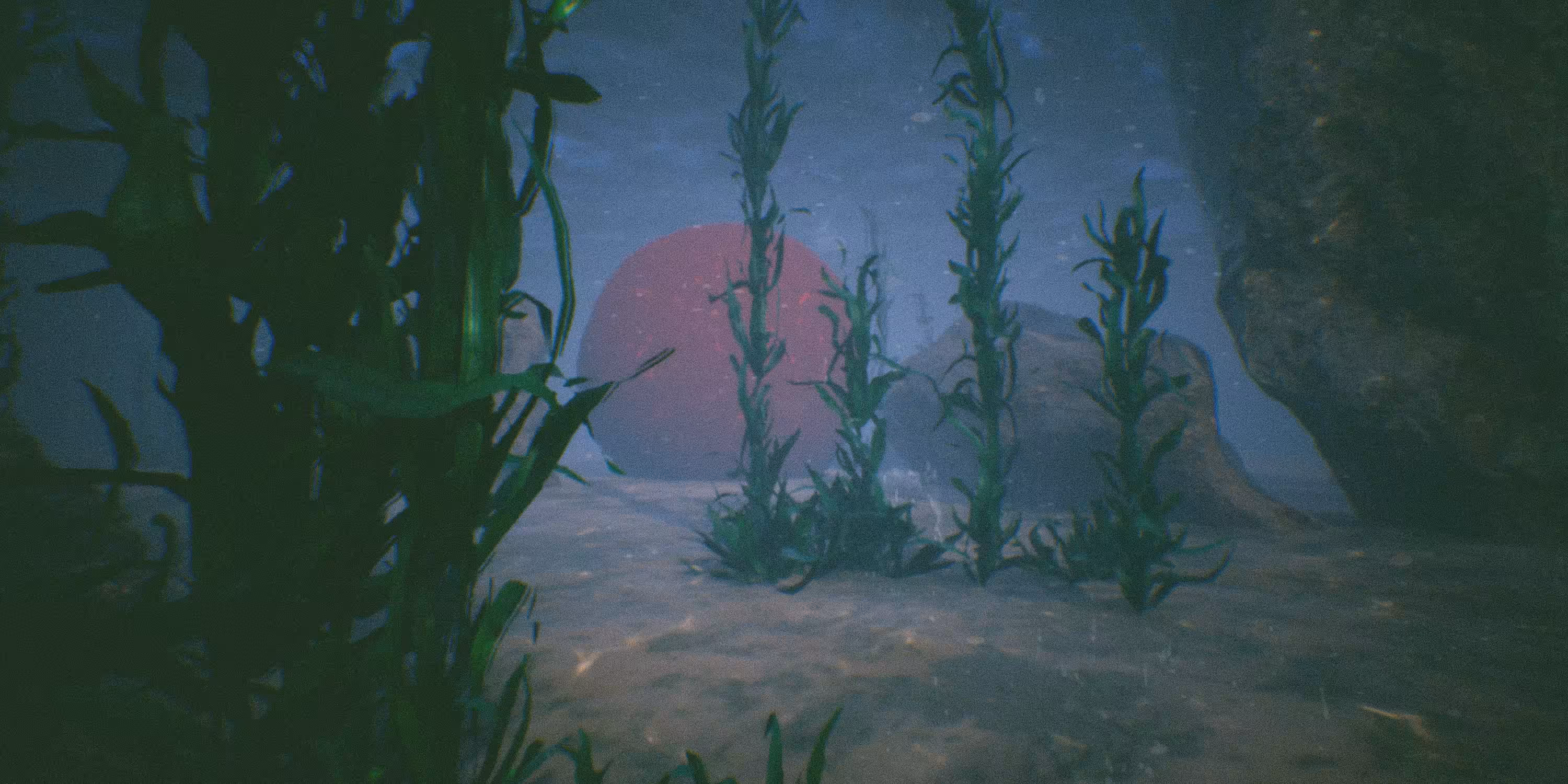 Dive deeper