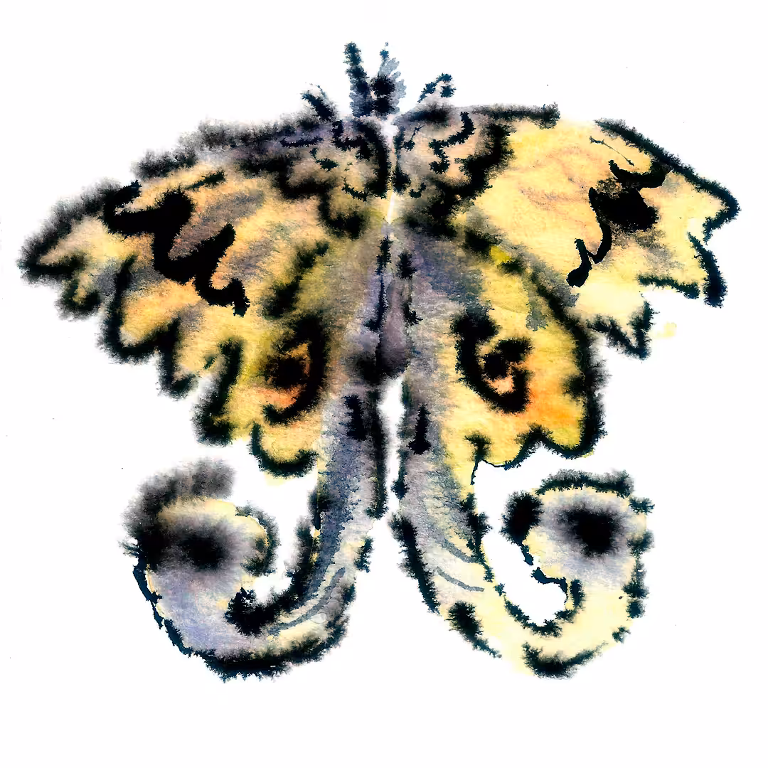moth