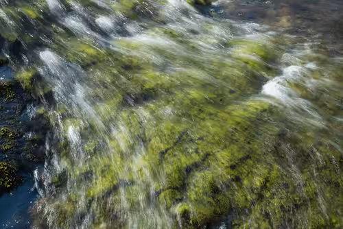 Seasons of Jiuzhaigou #48