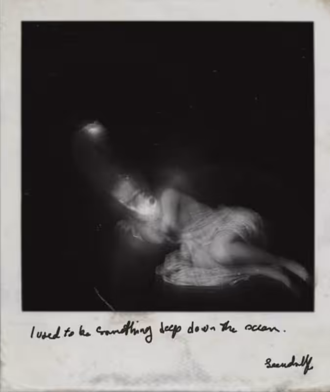Hide & Seek : I used to be something deep down the ocean