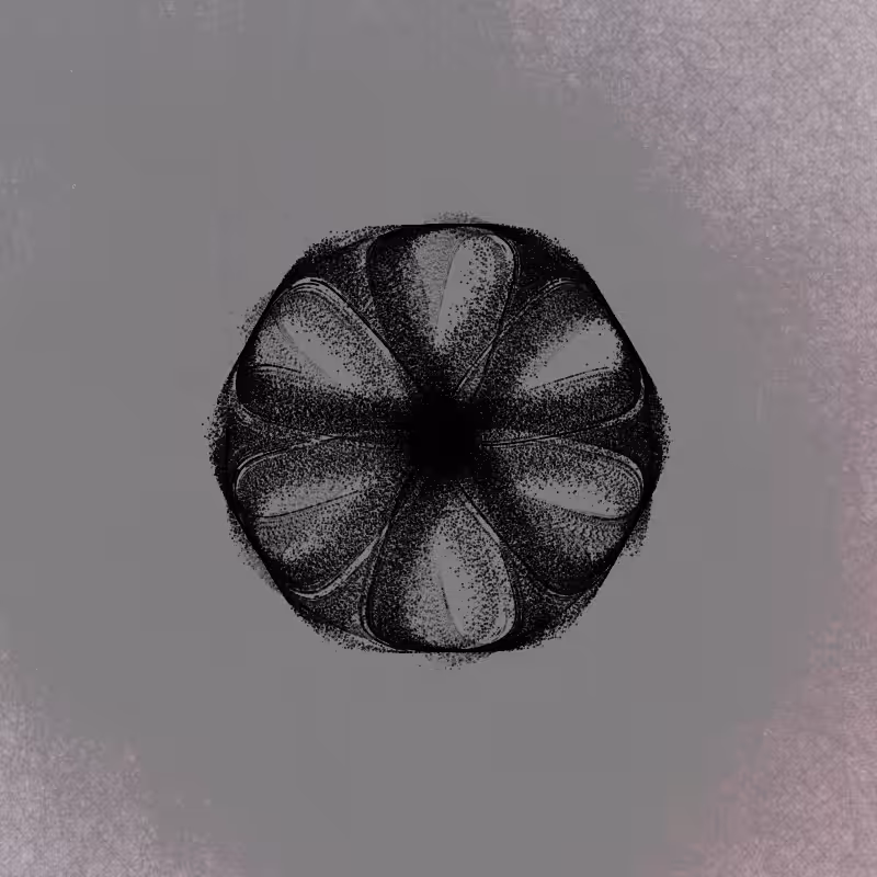 polar thread n.08 #2