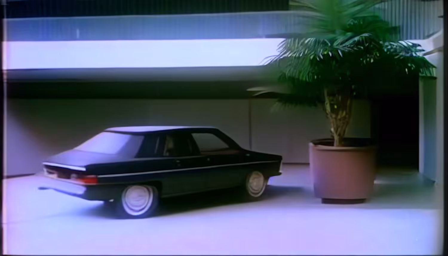 shy cars