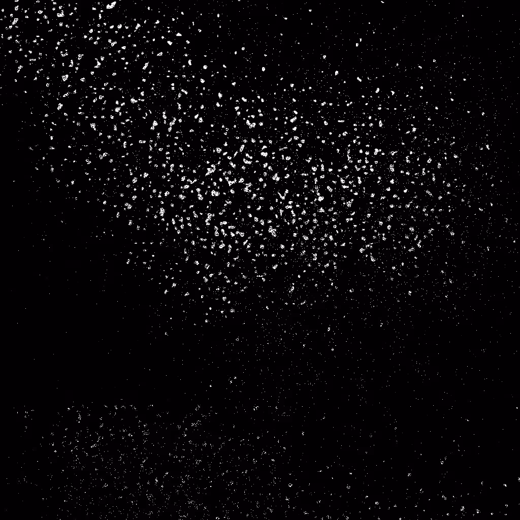 HIDDEN IN NOISE: Noise #929 