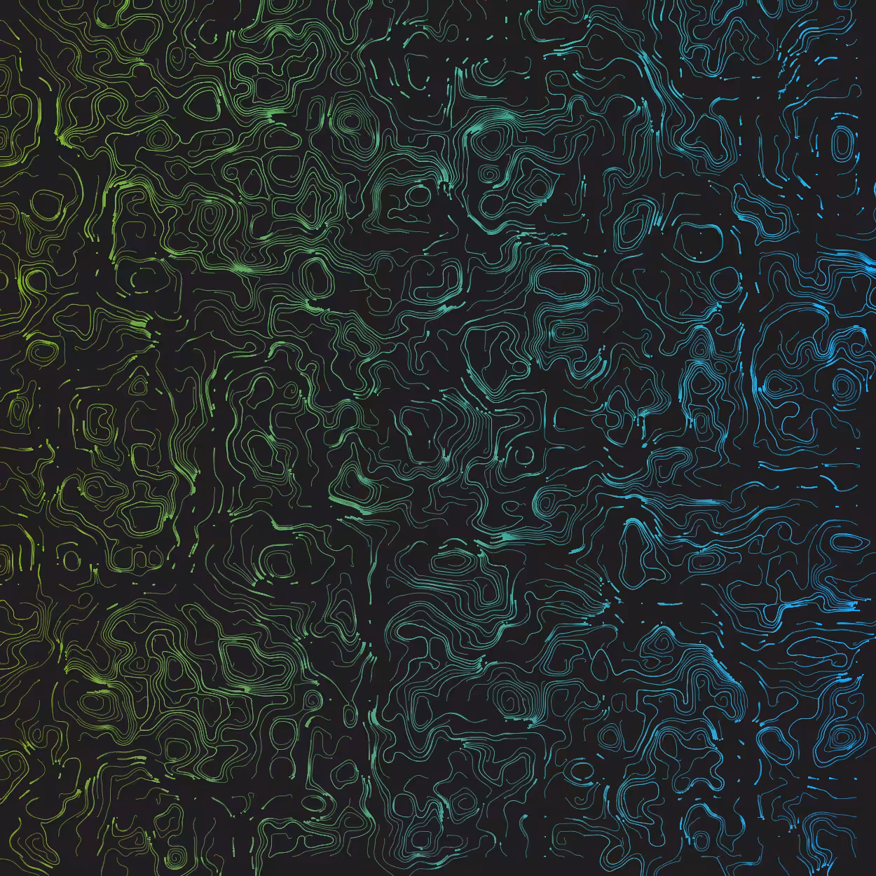 Topographic Lines #17