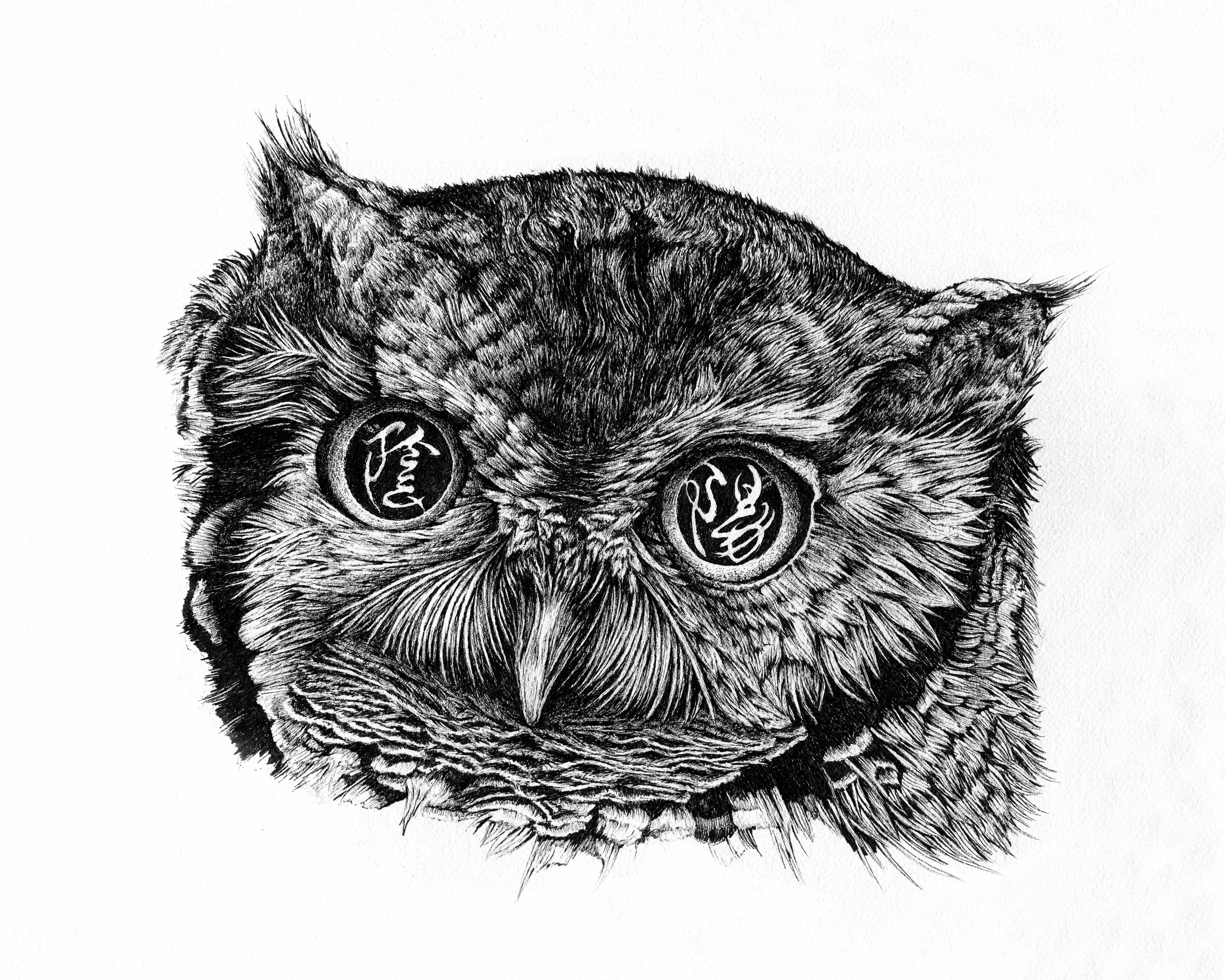 Yin & Yang Owl