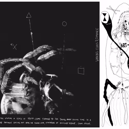 [ 10/2 <WEAVE> (COUNTRY ARACHNOPORN)]