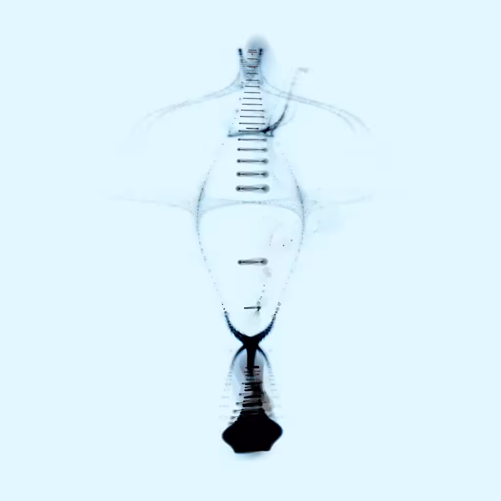 Spectral Being 177