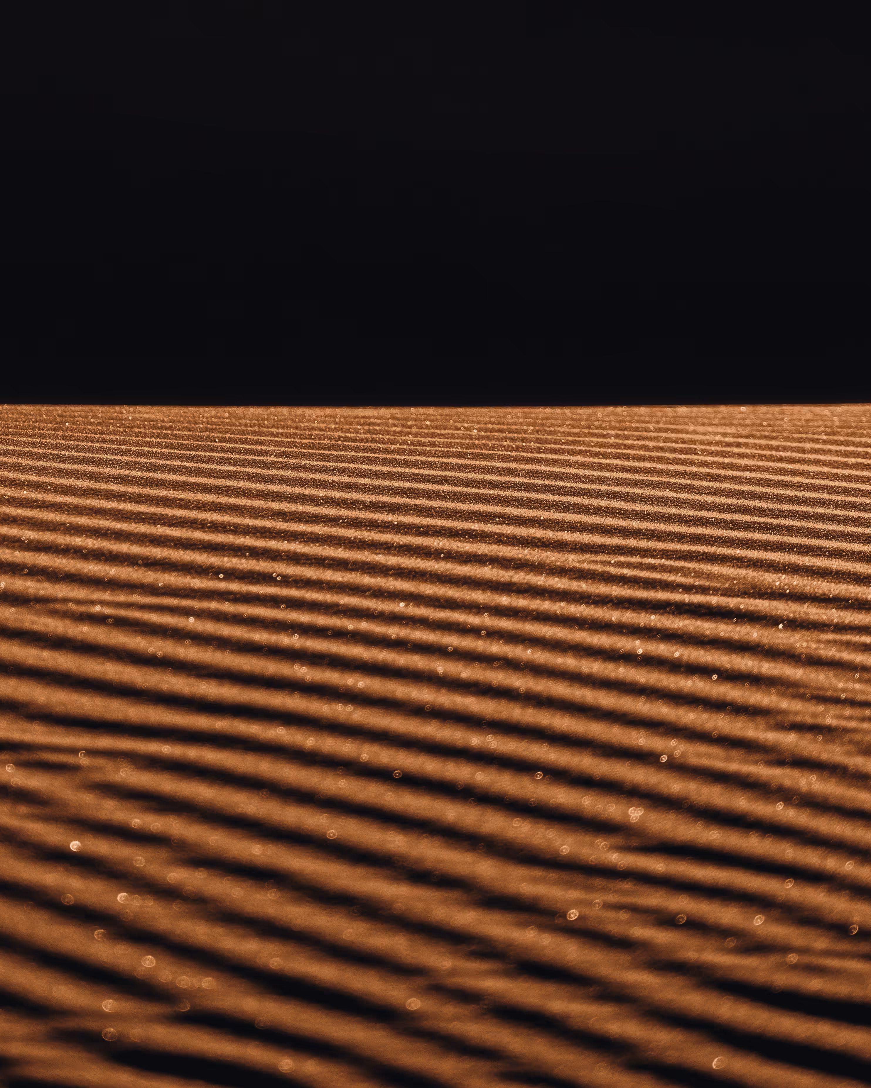 Dune: The Collection #29