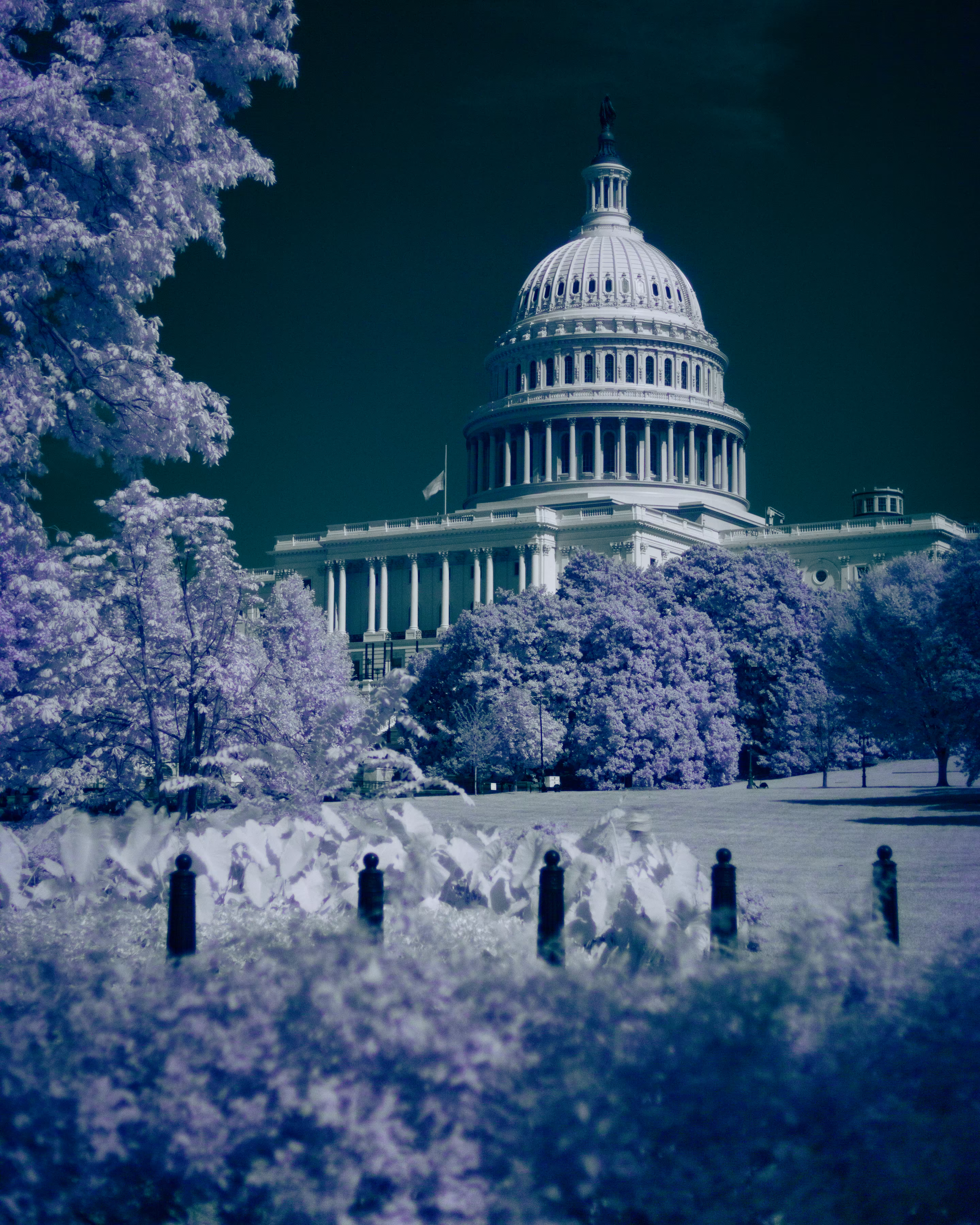 Infrared #005 - Side View of The Capitol