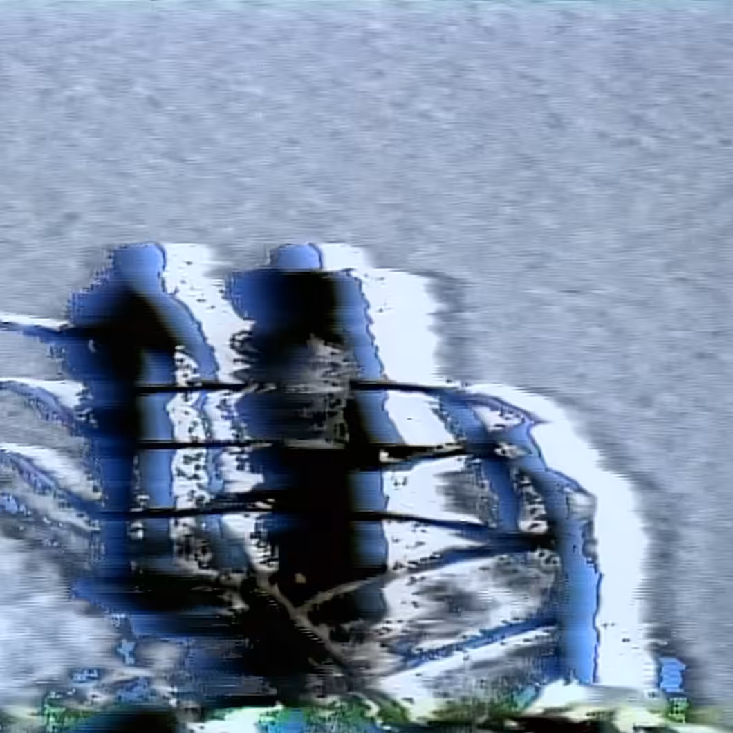 vhs dream 0201