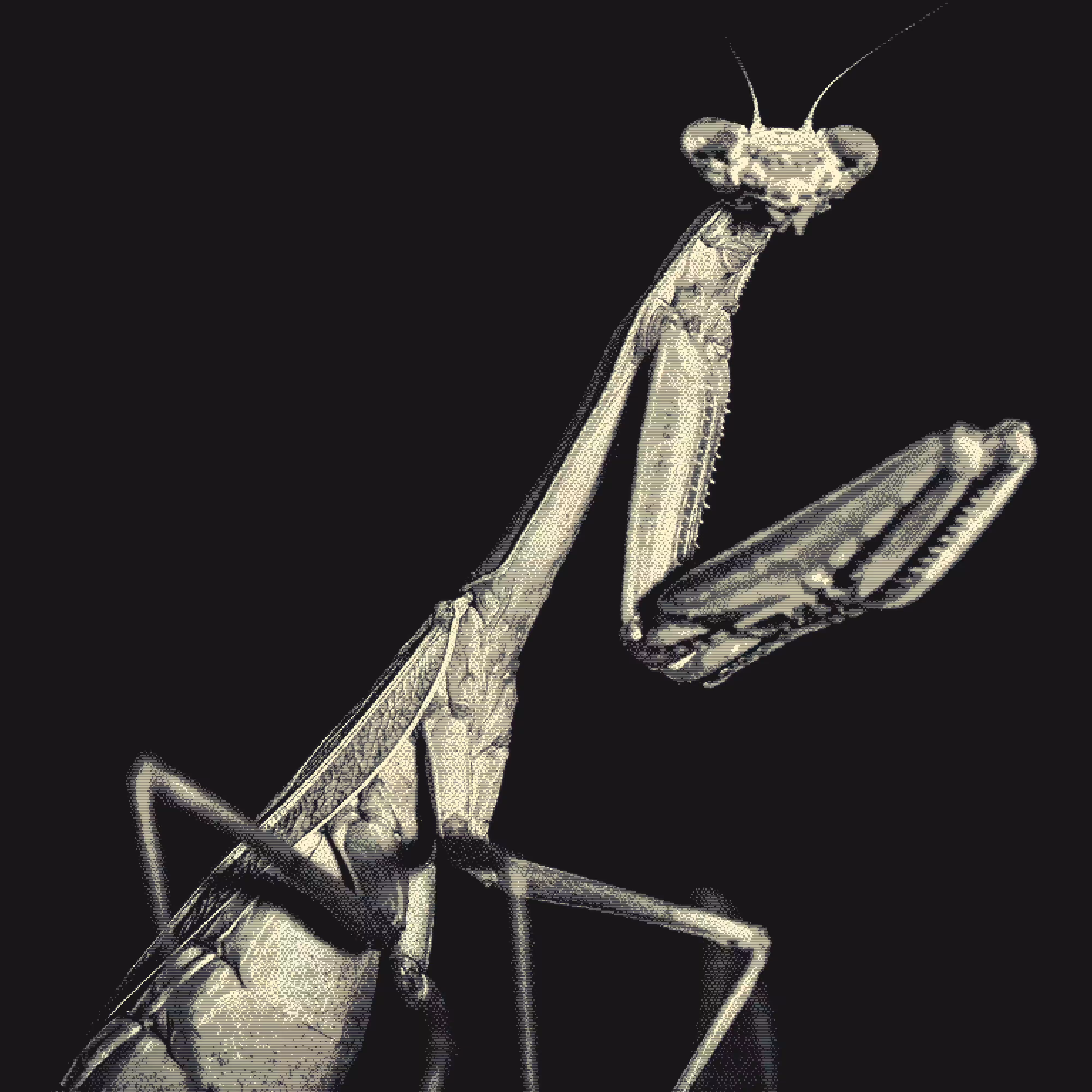 Insecta I