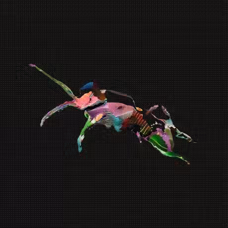 Bug 🐛