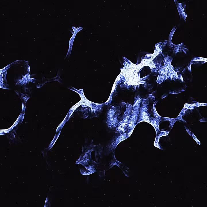 Neuron Network #006