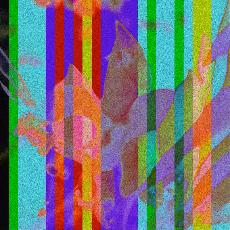 CLDCSMC #191