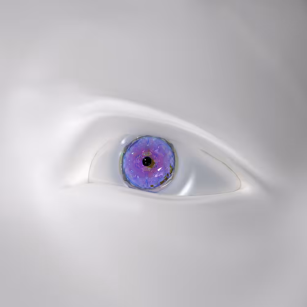 Intro