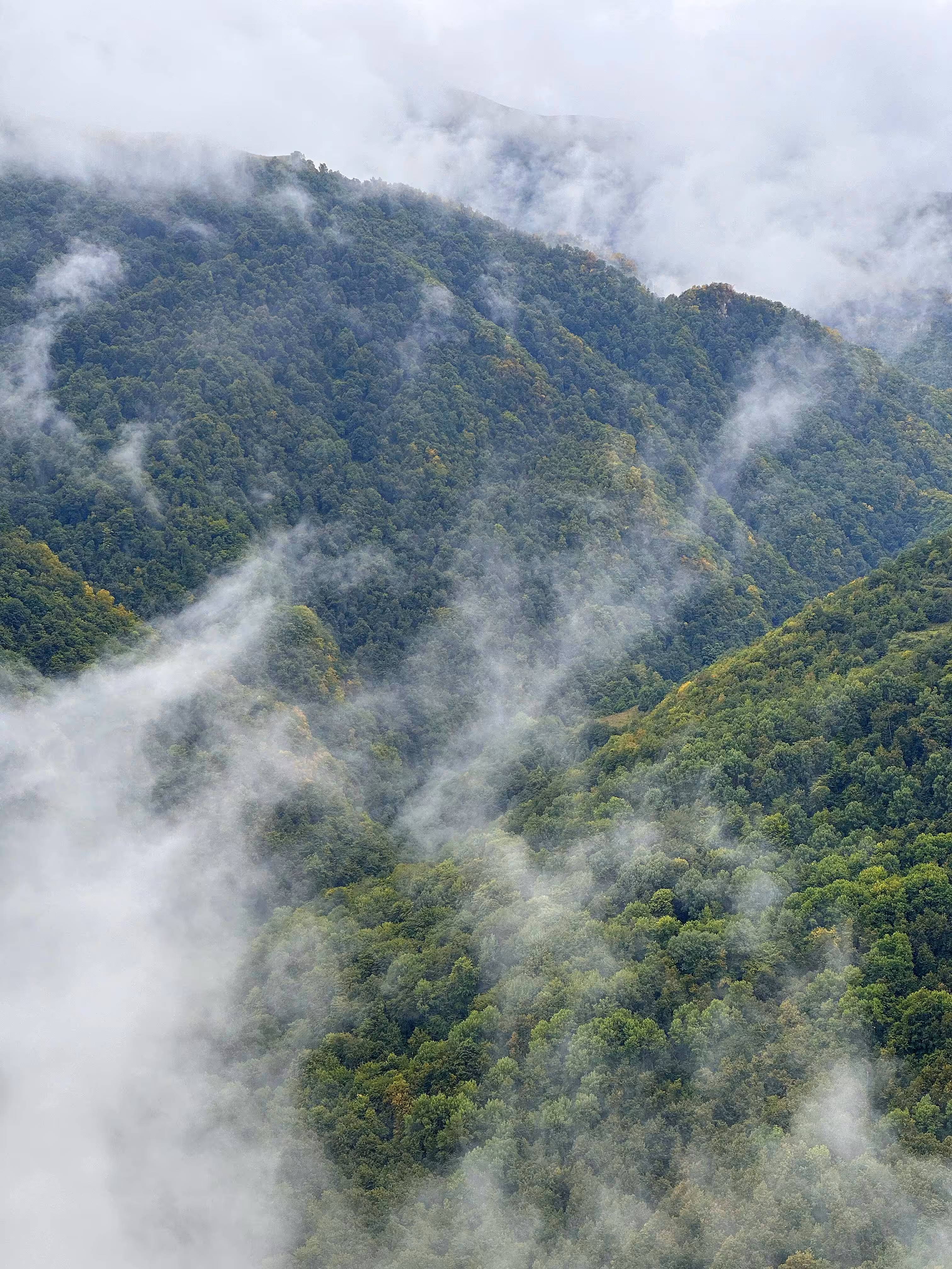 Above the clouds