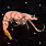 Shrimp in Space