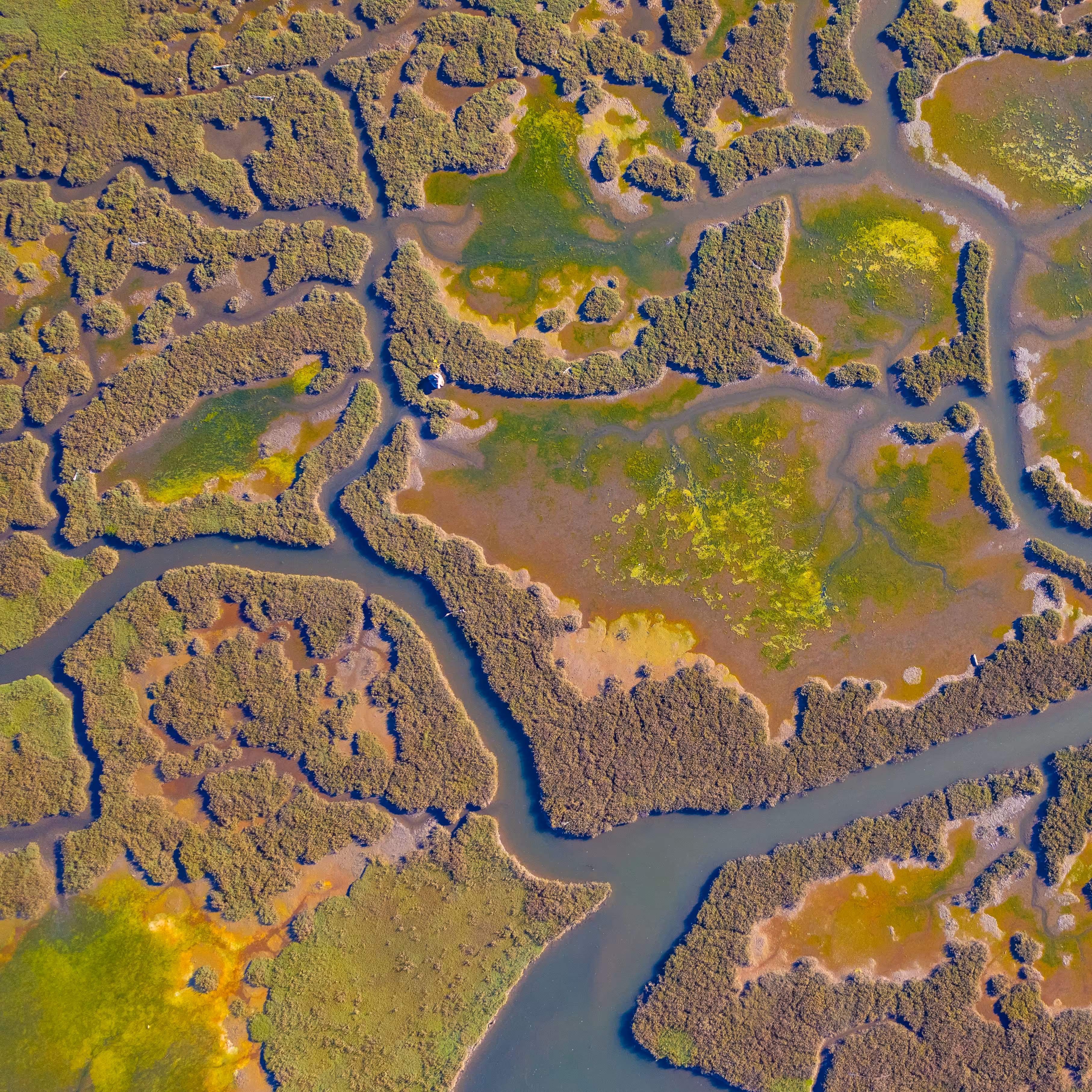 TILES: TILE 86