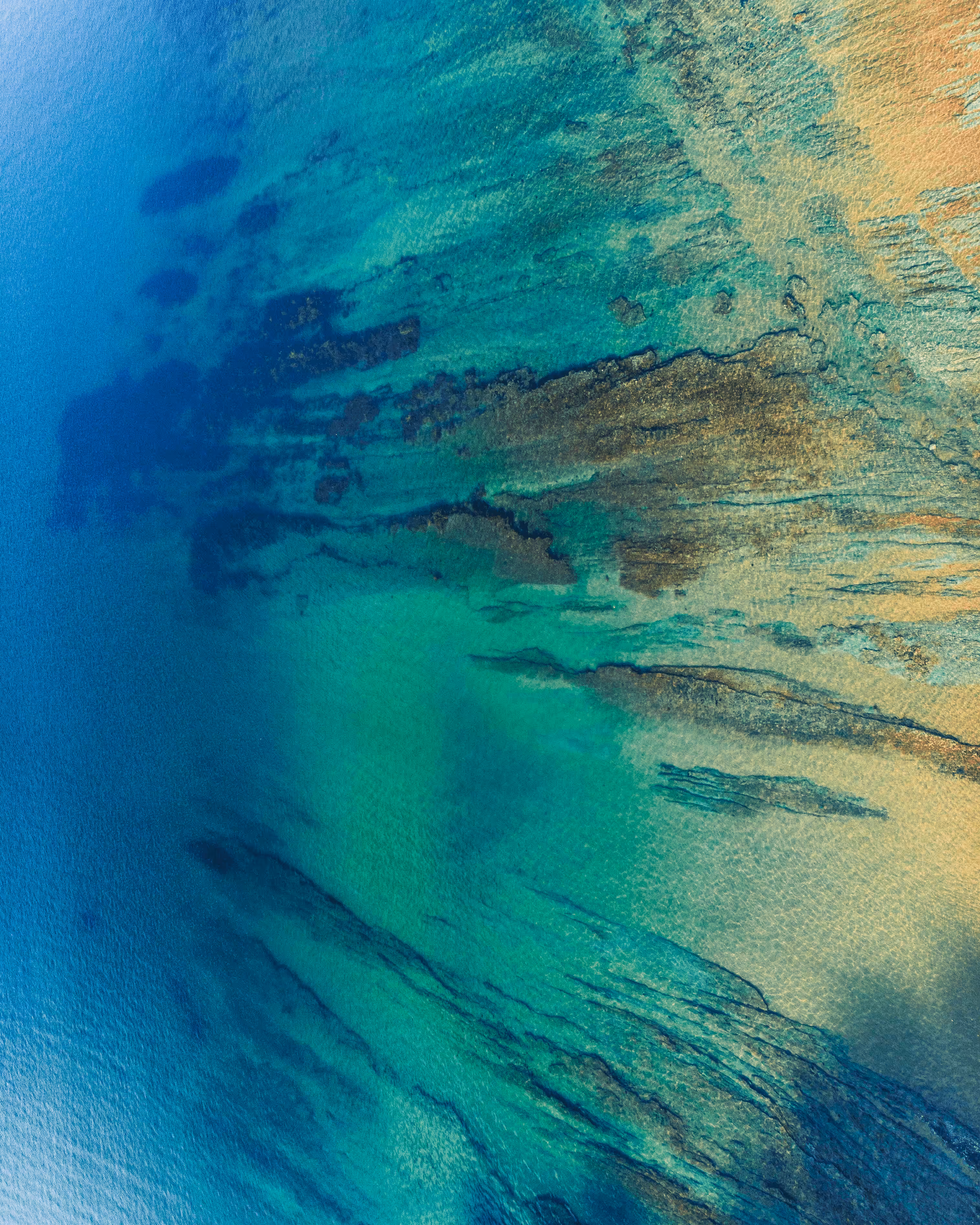 Hibiscus Coast #17