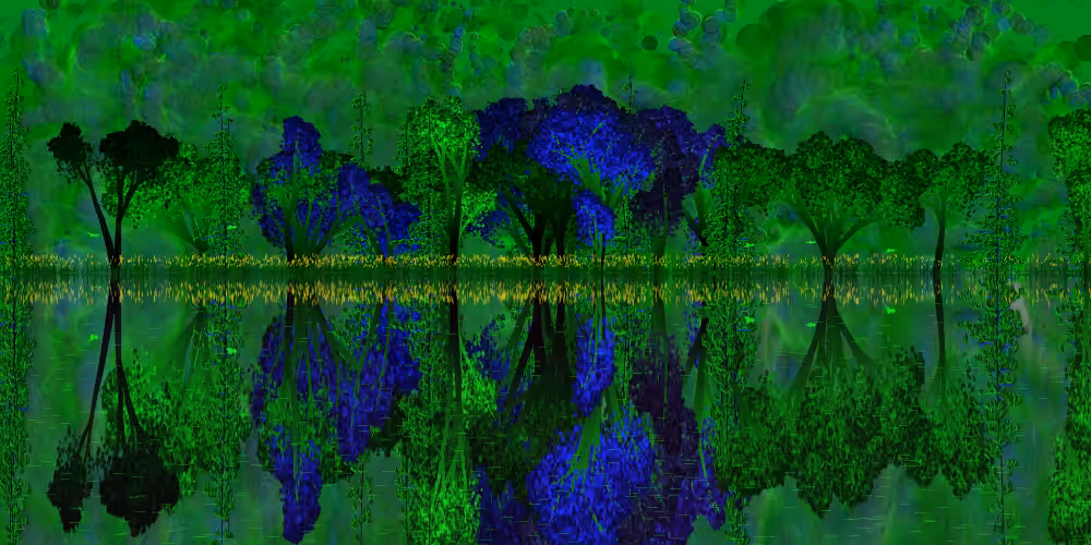 The Pond #11