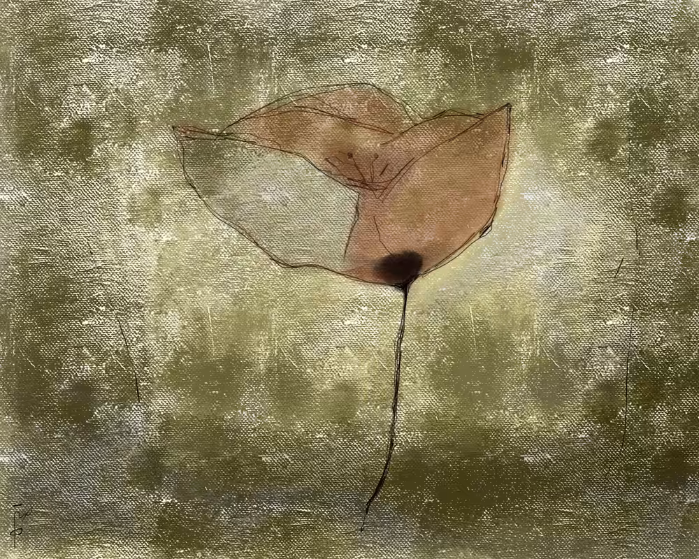 Flower No.6
