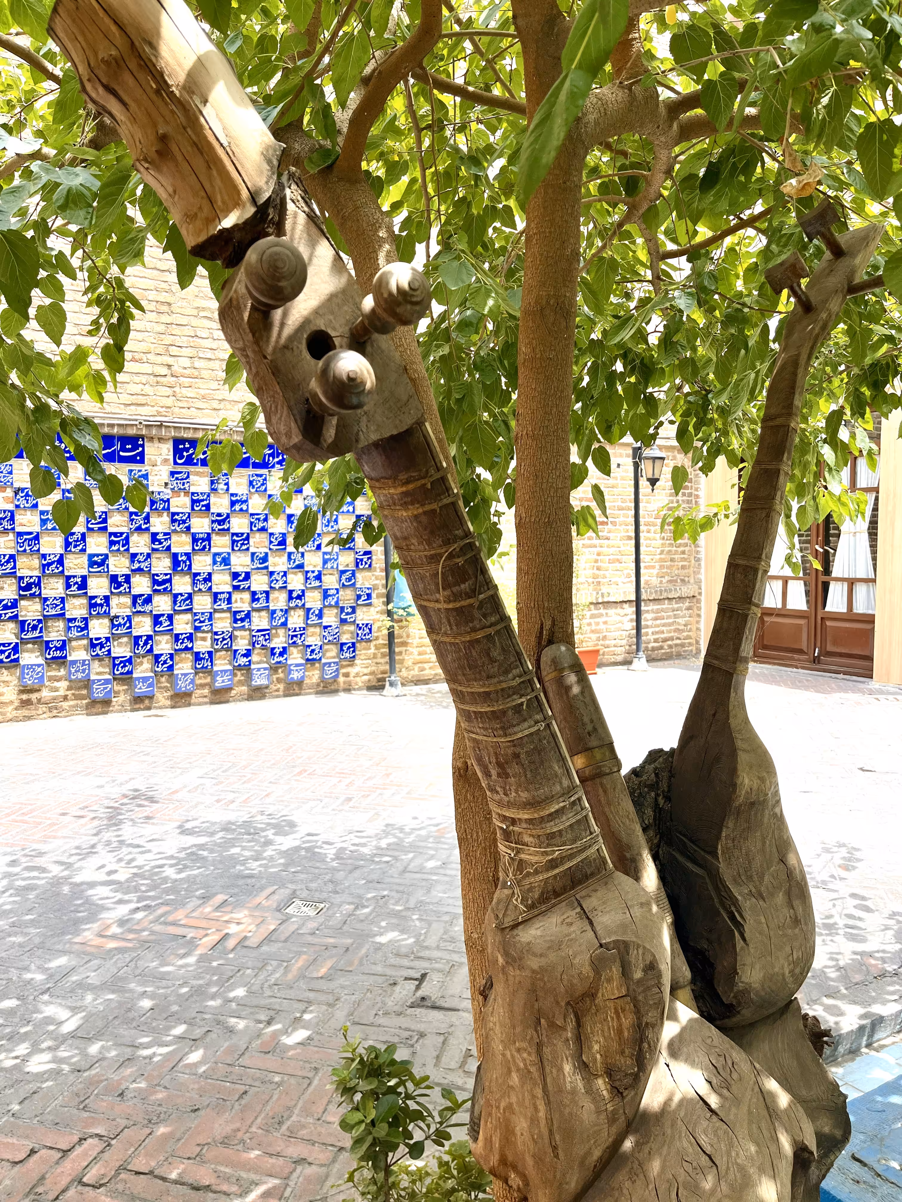 Merging music and nature