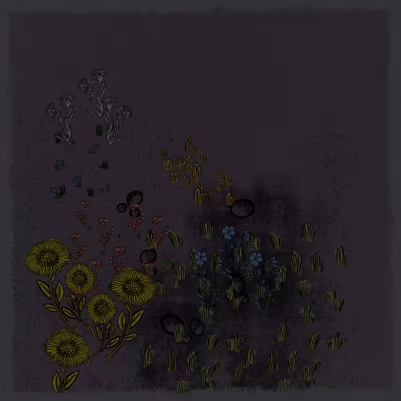 Gardens  #5