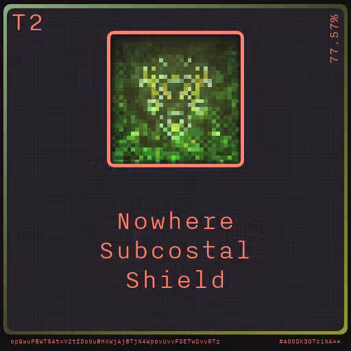Gear for your quests - Shield #28