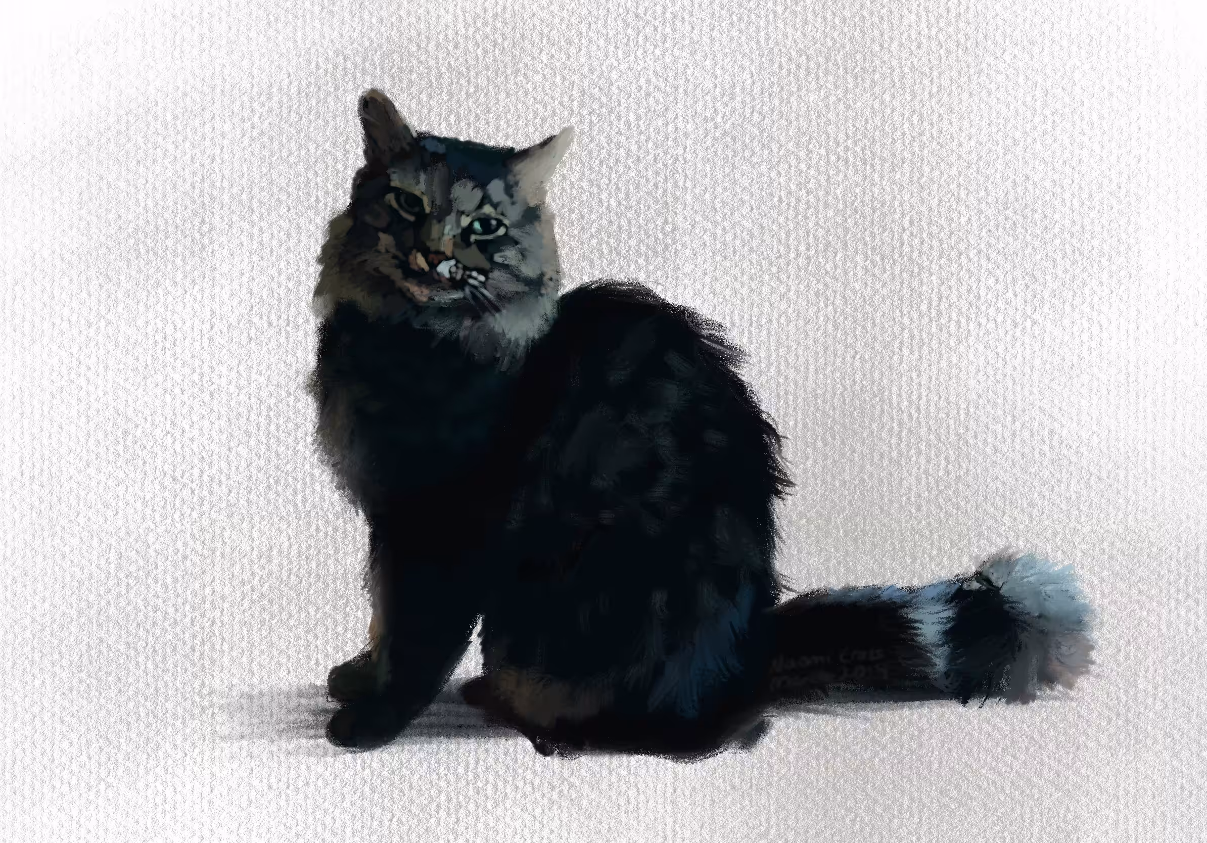 A cat called Fudge