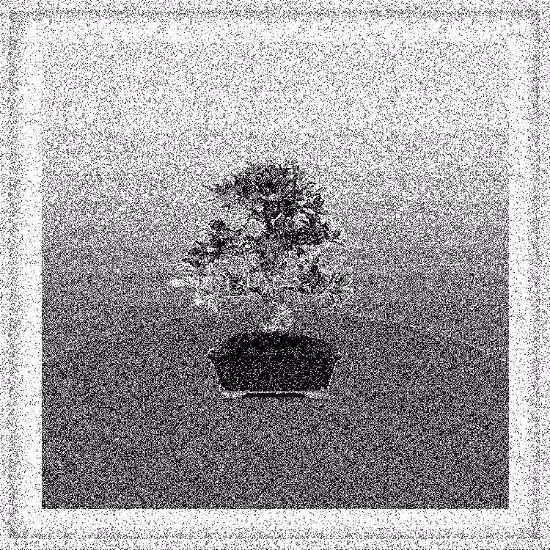 Bonsai Bonanza #178