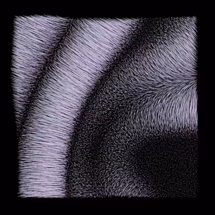 FURRY HOLE