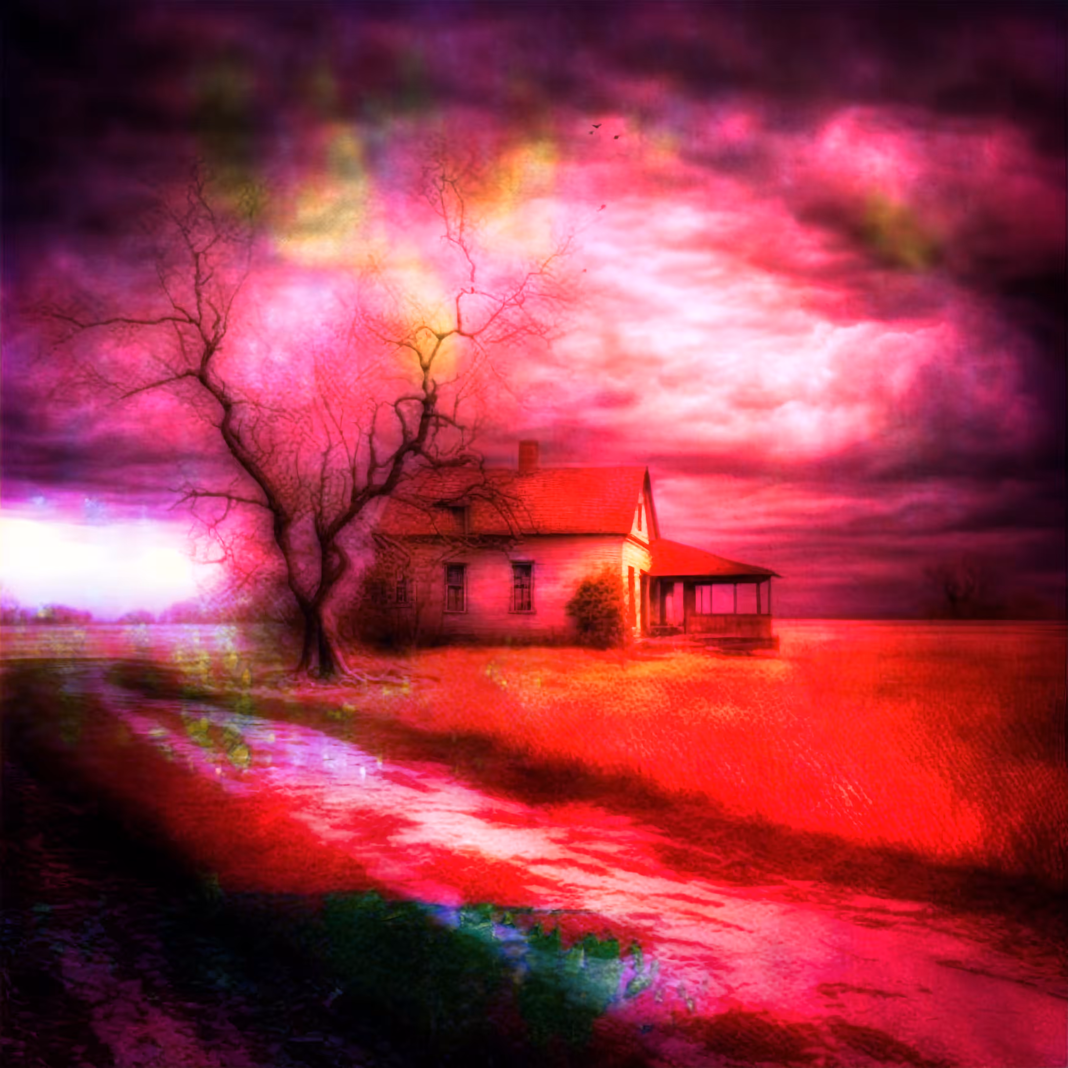 Dreamscape #238