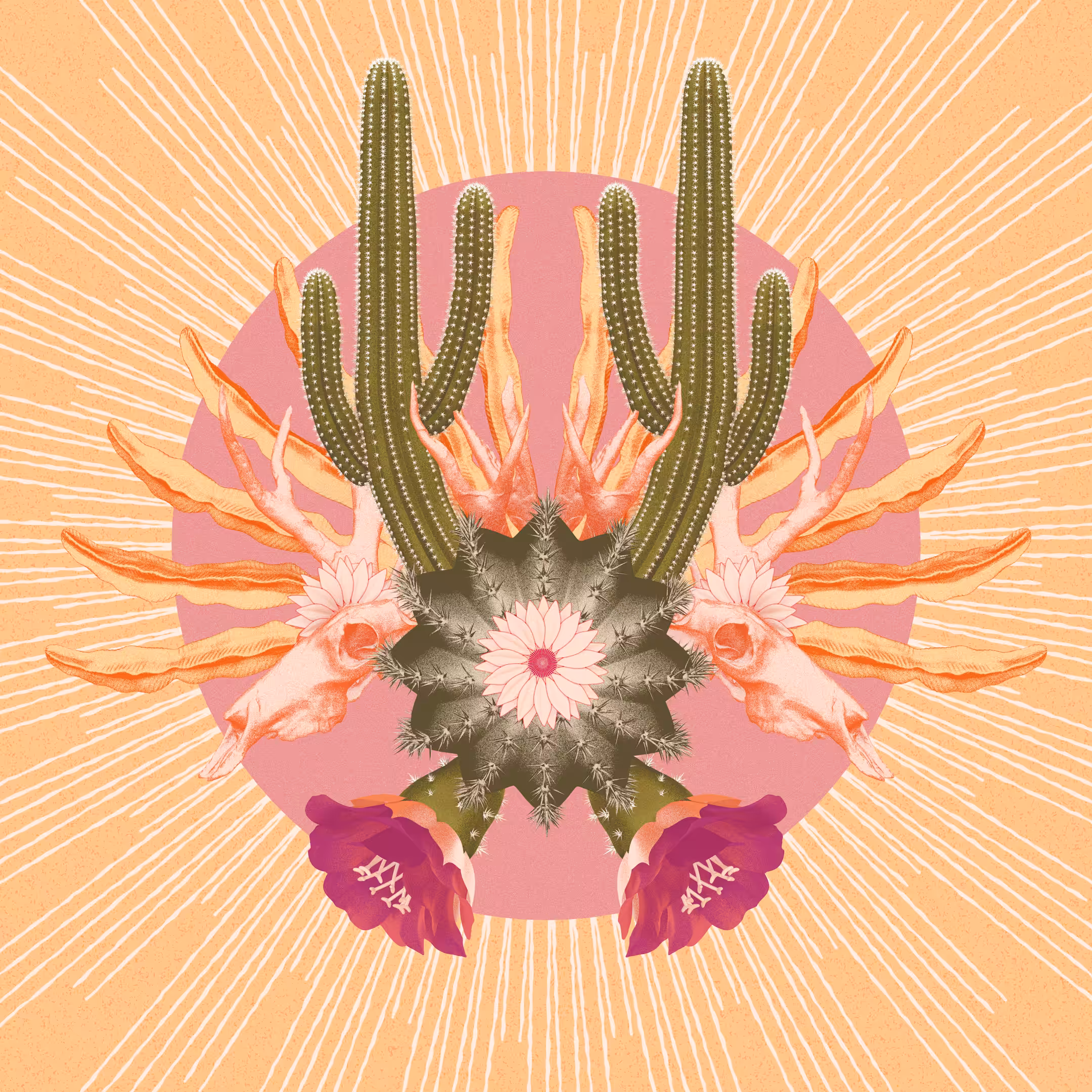 Desert Wilderness