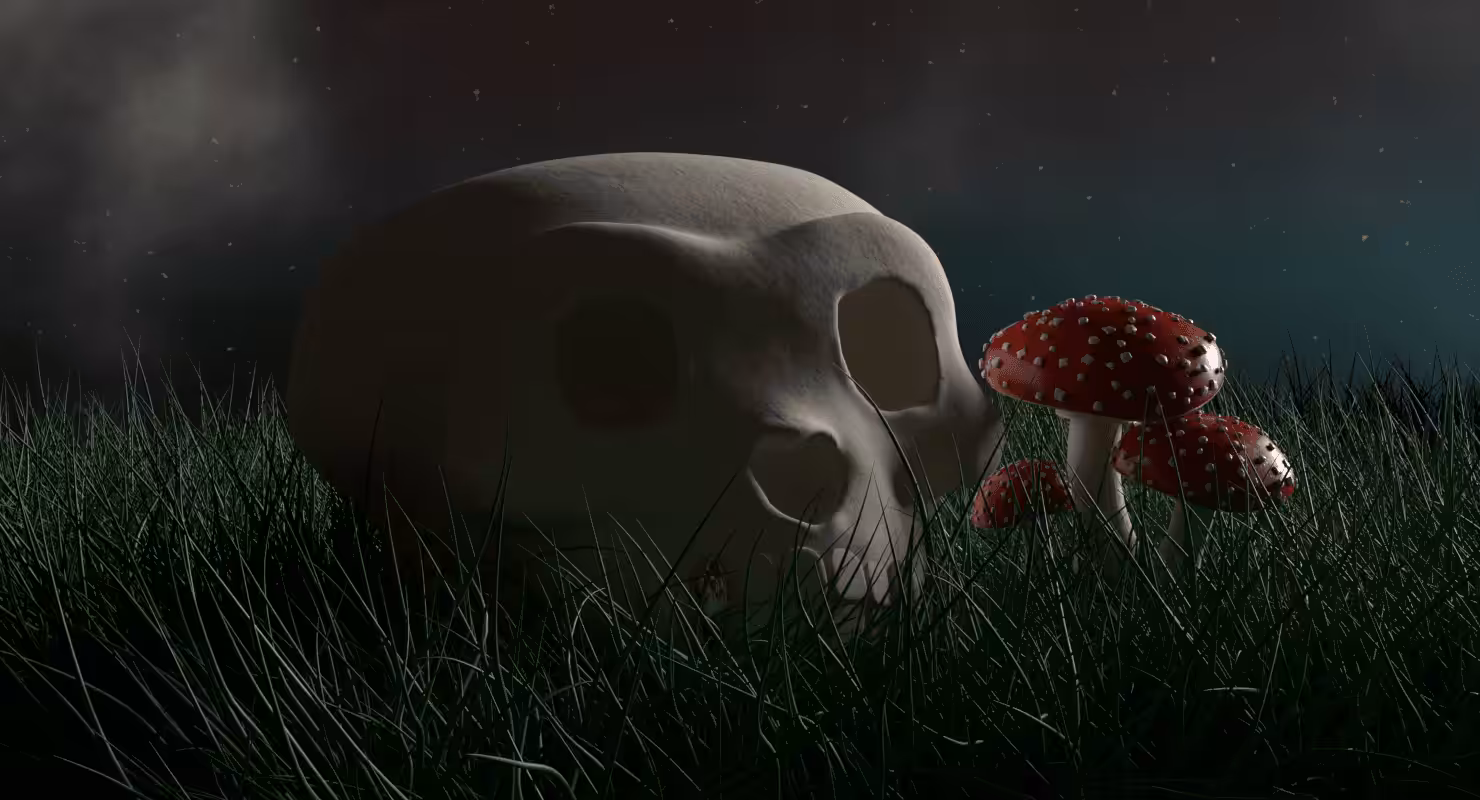 Pudgy Fungi
