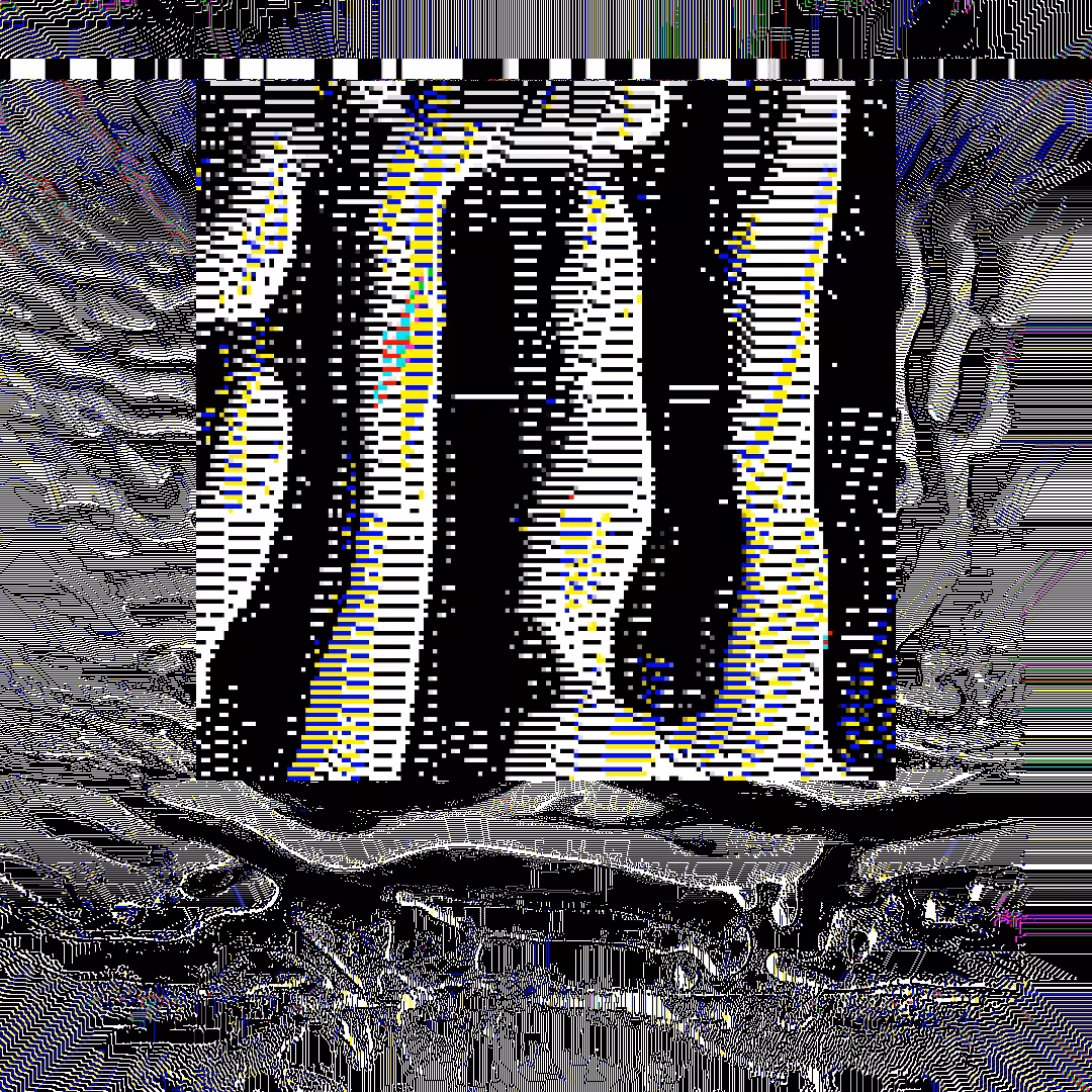 nearest neighbor - genesis  #19