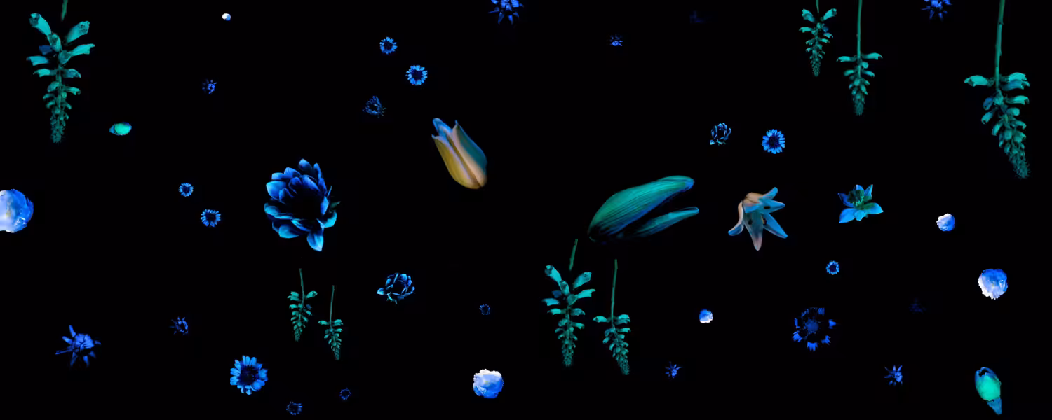 Eternal Garden 2