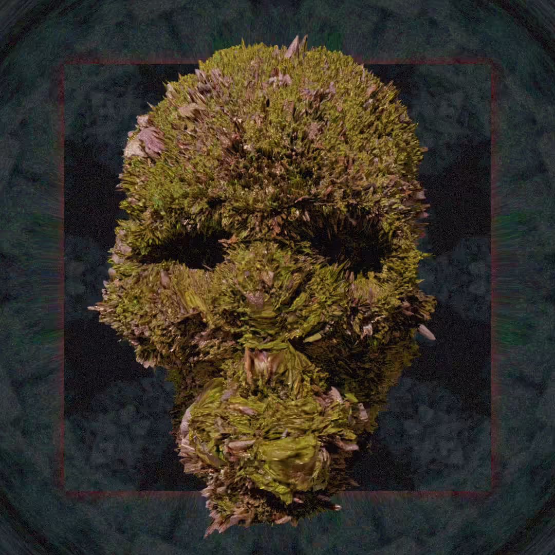 Calavera-HASHLAVERA
