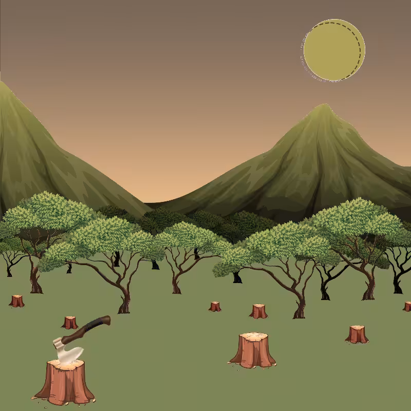 Lonely Forest #5