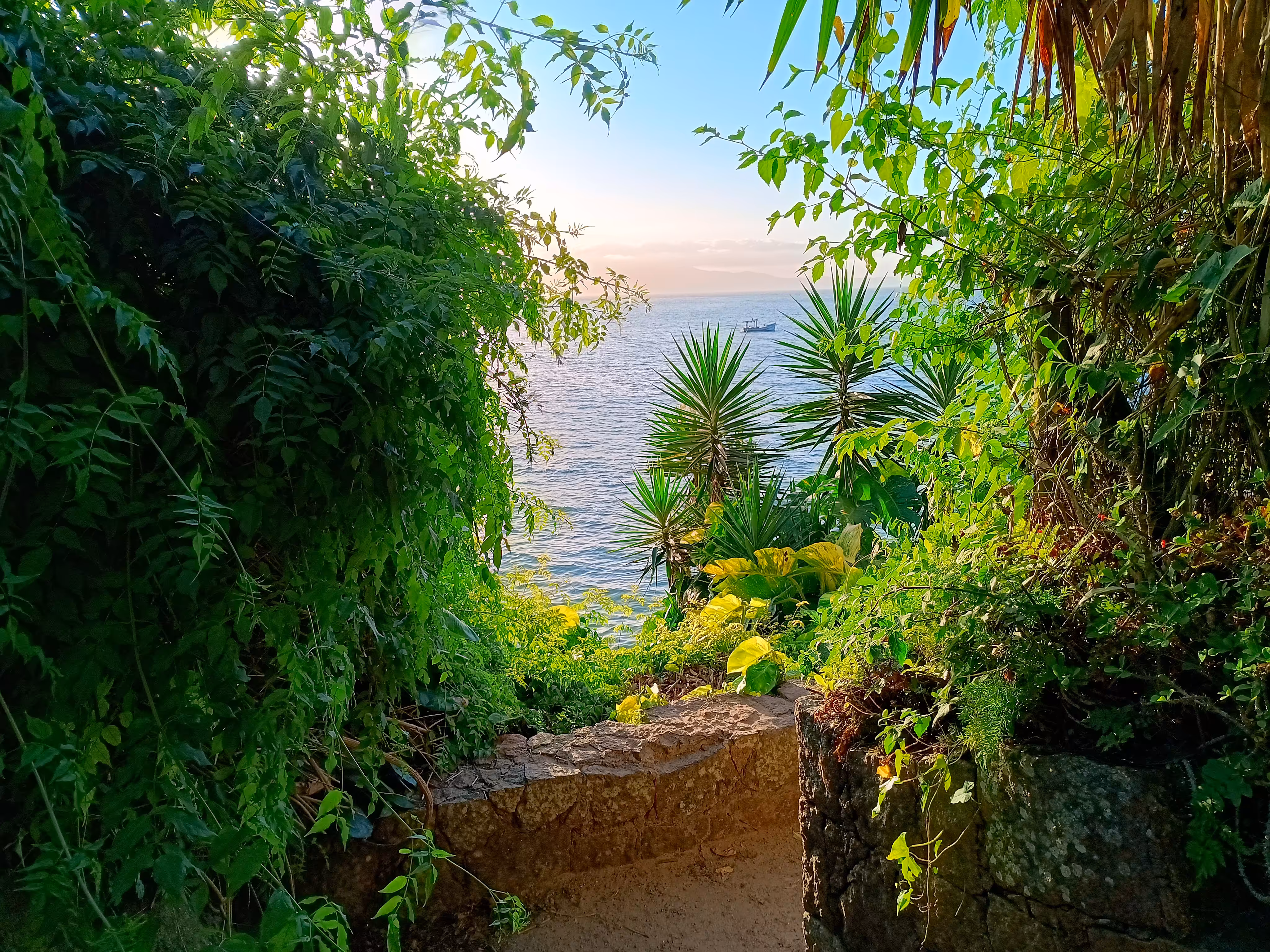 Rodeo posts: Path to paradise