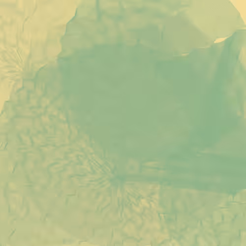 Lillypads #33