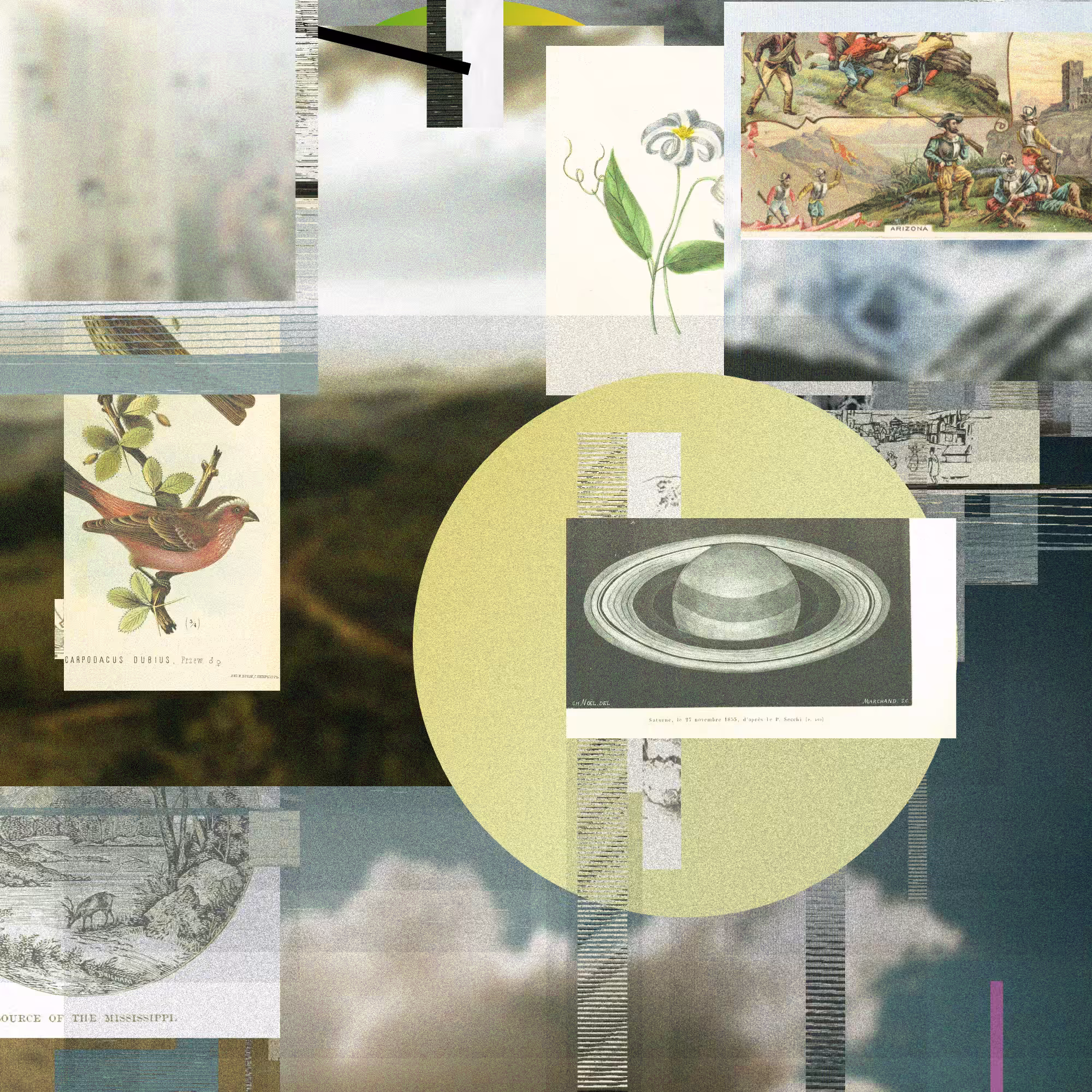 Unconscious Collages #1524