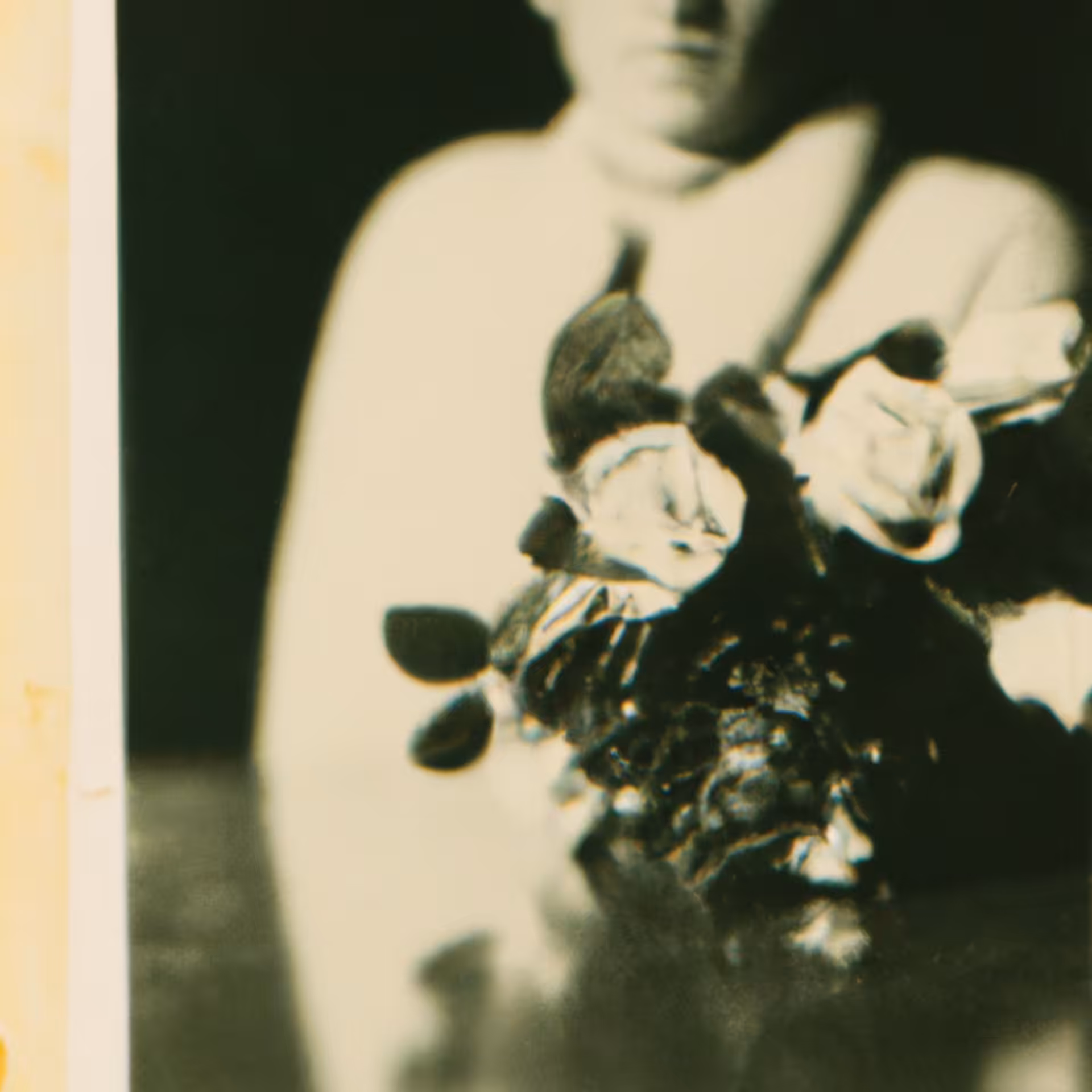 1895, aunt Agatha's flowers