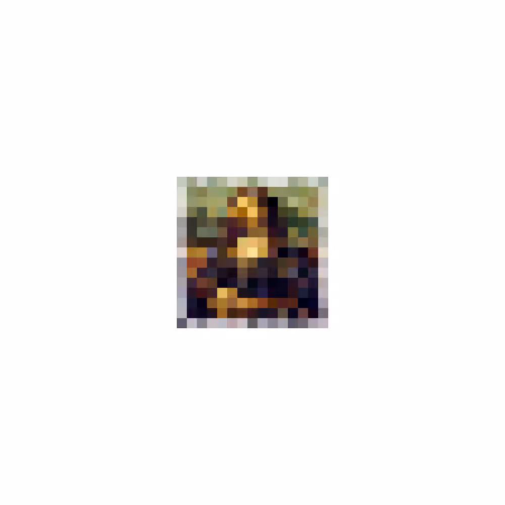 Mona Lisa
