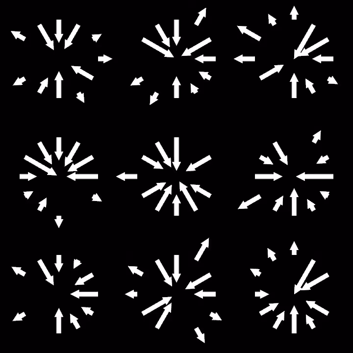 DoodleDeProgramming_20220404