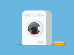 How to Wash Your Cat